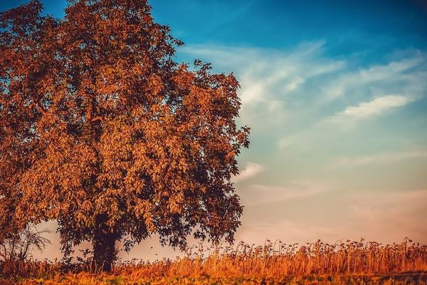 Que prévoit Météo-France pour cette journée d'automne ? 