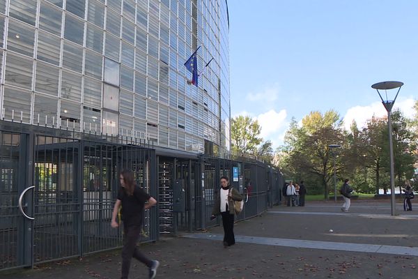 L'eau s’infiltre à l’intérieur de la cité scolaire internationale de Lyon par son toit végétalisé.