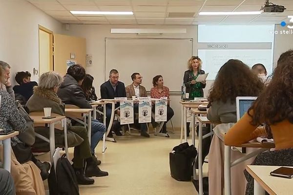 Le thème a été au cœur d’une journée d’étude internationale consacrée aux séries à l’université de Corse le 11 décembre dernier. 