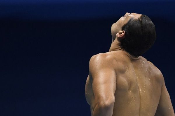 Florent Manaudou arrive second pendant la finale du 50 mètres nage libre aux Jeux Olympiques de Rio.