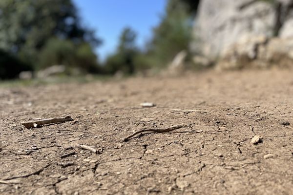 Deux communes varoises sur 153 sont en alerte sécheresse en cette fin juillet.