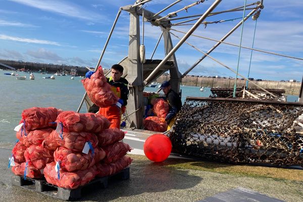 Retour de pêche à la coquille à Erquy