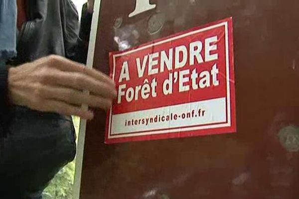 L'annonce a fait bondir les syndicats de l'ONF