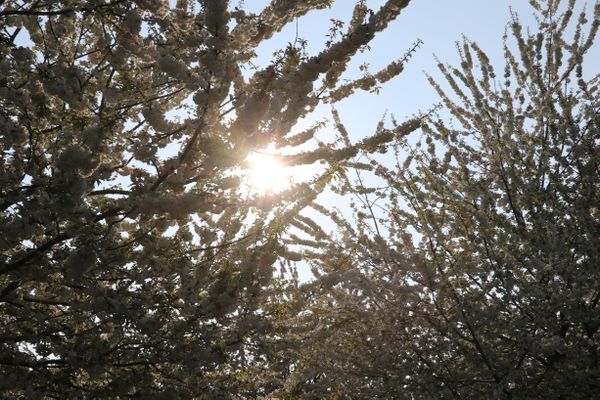 Grand soleil cette après-midi sur la majorité des Hauts-de-France