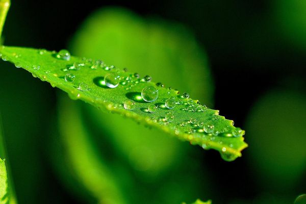 Météo France prévoit de la pluie sur la région 