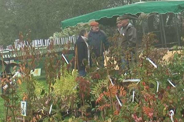 plus de 2000 plantes rares en vente à l'arboretum