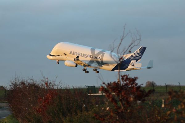 Lundi 28 novembre, presque dix jours après sa sortie de piste à l'aéroport d'Albert, le Béluga XL n°5 a pu redécoller.