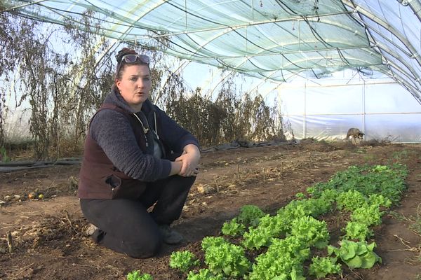 Elise Dubray-Vautrin doit cesser son exploitation bio près d'Albi (Tarn), au bout de trois ans, victime de l'inflation et des aléas climatiques.