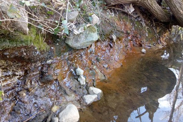 L'Association "Nature" et le groupe de citoyens "Urgence Cérou" ont alerté sur des pollutions aux hydrocarbures dans la rivière Cérou (Tarn) Leur cri d'alerte n'a pour l'instant pas été entendu et suivi d'actions concrètes pour remédier à cette pollution environnementale