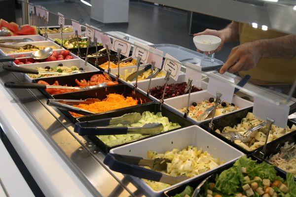 En France 71% des élèves des écoles maternelles et élémentaires ont droit chaque semaine à un menu végétarien (obligatoire ou optionnel) contre seulement 10% il y a deux ans. Source : Greenpeace