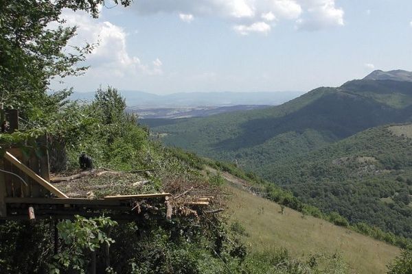 Deux jeunes vautours moine relâchés en Bulgarie, dans un espace protégé, le 6 août dernier