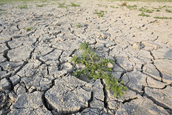 Ce mardi 2 août, la préfecture de Haute-Corse a pris des mesures plus restrictives quant à la consommation d'eau.