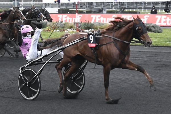 Hooker Berry et Jean-Michel Bazire, derniers vainqueurs ligériens du Prix d'Amérique. C'était en janvier 2023