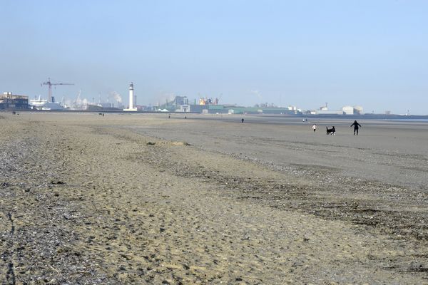 Après de nouvelles analyses, le doute sur la qualité des eaux des plages de Dunkerque est levé. À partir de ce jeudi 25 août, il est de nouveau possible de s’y baigner.