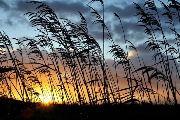 Littoral de Charente-Maritime