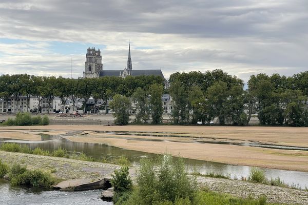 25 juillet 2023. Le niveau de la Loire (ici à Orléans) est 25% plus bas qu'à l'accoutumée en cette saison.