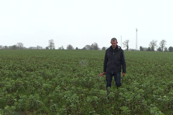 À la découverte de "l'agriculture de conservation"