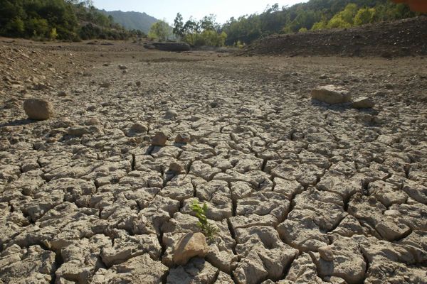 ILLUSTRATION. le lac du Gratadis dans le massif de l'Esterel (Var) en 2006. En 2003, à la même époque, il y avait encore de l'eau. 