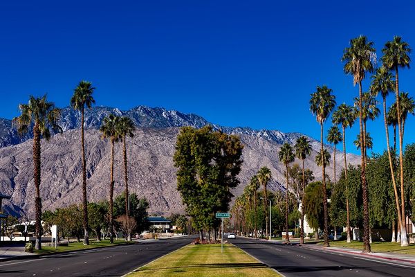 Les Miss sont arrivées à Palm Springs, en Californie. 