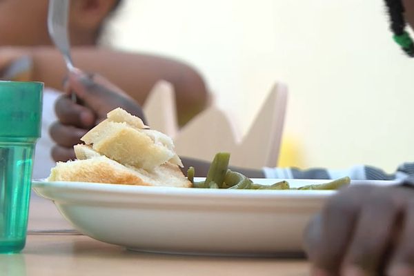 Un enfant mange à la cantine