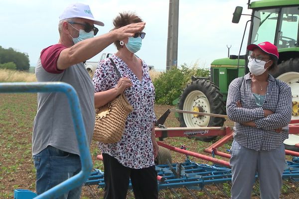 Le domaine expérimental de l'INRA de Bretenière, (Côte-d'Or) teste de nouvelles techniques culturales qui permettraient de ne plus utiliser de produit phytosanitaire.