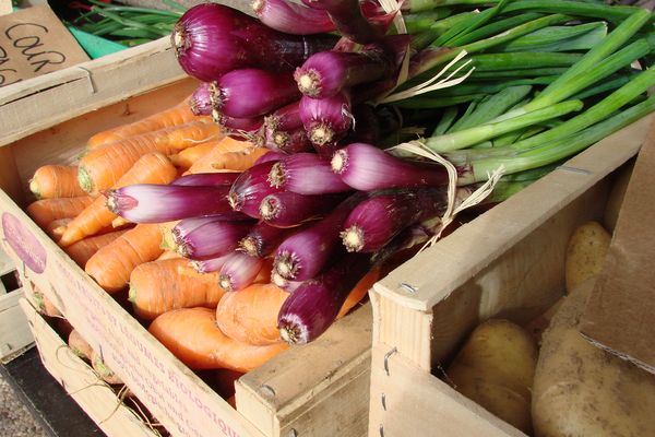 La drogue avait été cachée dans un chargement de légumes, notamment d'oignons (illustration).