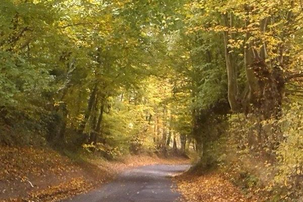 Vos photos de l'automne illustrent la météo : Bachant