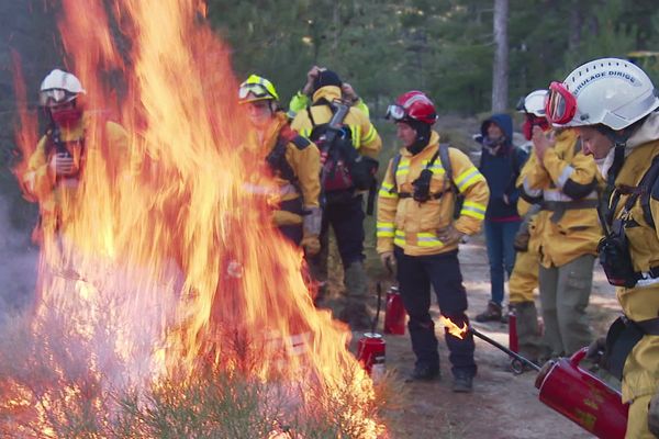 Une opération de brûlage s'est tenue dans le Niolu