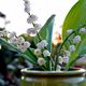 Muguet