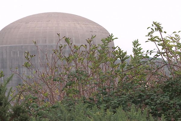 Depuis 2004, la centrale nucléaire de Paluel (Seine-Maritime) dispose d'une zone naturelle classée