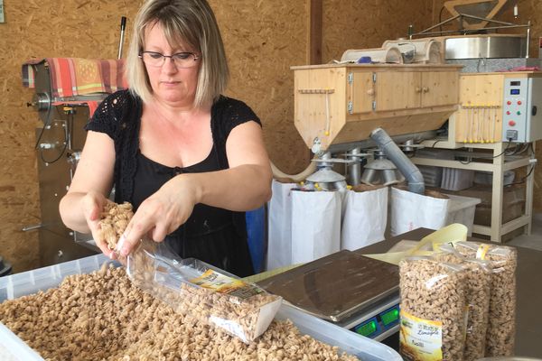  Les premières pâtes bio au blé dur du Puy-de-Dôme sont produites dans ce laboratoire à Thuret.