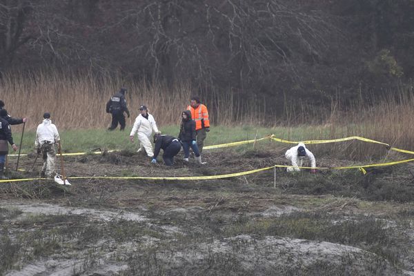 Un important dispositif humain déployé dans cette zone marécageuse de Pont-de-Buis (Finistère) au deuxième jour de recherches.