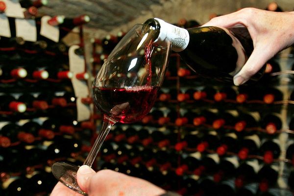 En valeur, les professionnels enregistrent une hausse d'au moins 5% des revenus du Beaujolais en 2018 sur un an, alors que les volumes de ventes sont restés stables. 