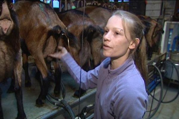 Laura Delsarte employée de la ferme de la Pastourelle à Châteaudouble dans le Var