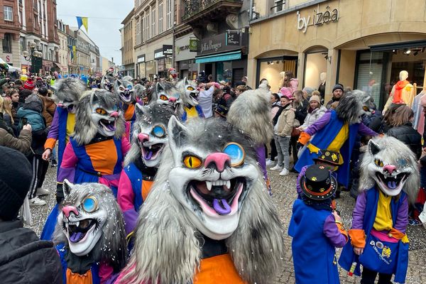 La cavalcade du carnaval anime les rues du centre-ville de Sarreguemines (Moselle), le 4 février 2024.