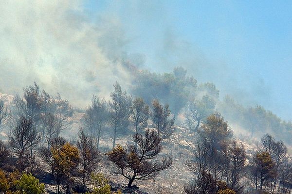  Il y a six mois, 13 000 hectares de chênes lièges sont partis en fumée près de la Jonquera