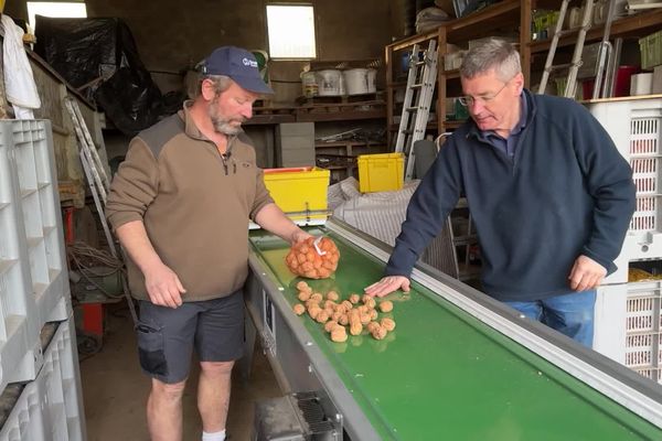 Le Collectif noix et noisettes en Bourgogne sort d'une deuxième année de récolte très compliquée.