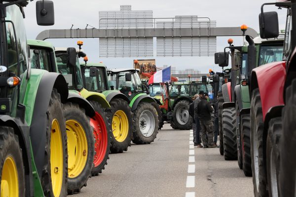 Plusieurs évêques ont apporté leur soutien à la mobilisation des agriculteurs.