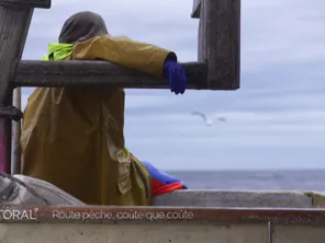 A bord du Misana, un côtier de 11 mètres polyvalent qui a été équipé pour diversifier le type de pêcherie. Une façon de s'en sortir face à la crise de la pêche?