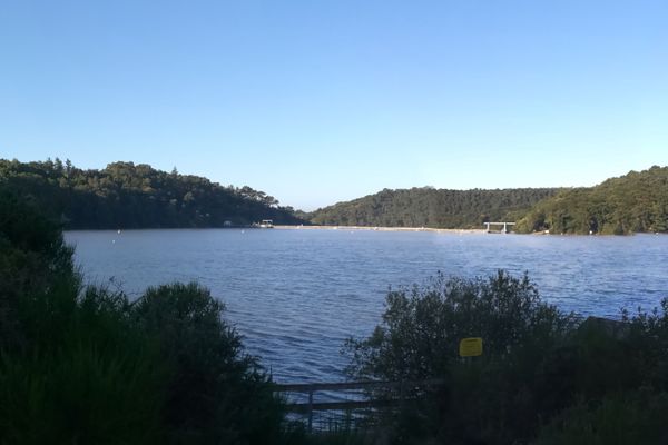 Le lac de Guerlédan dans son écrin de verdure.