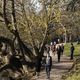 Le bois de Boulogne est un lieu très prisé des Parisiens. Image d'illustration.