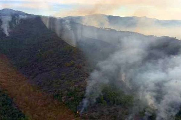 Saint-André-de-Valborgne (Gard) - vue aérienne du feu qui a détruit 110 hectares de forêt en Cévennes - 31 juillet 2015.