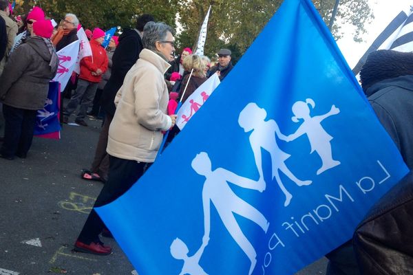 Première manifestation depuis juillet de la Manif pour tous à Nantes, le 23 novembre 2013