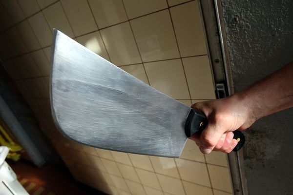 Un homme a été agressé en pleine rue au Havre (Seine-Maritime) par un individu porteur d’une feuille de boucher, dimanche 11 août 2024.