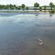 Le Pays des étangs en Moselle regorge d'étendues d'eaux