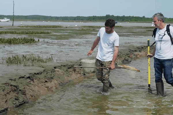 Pêche à pied à Arès