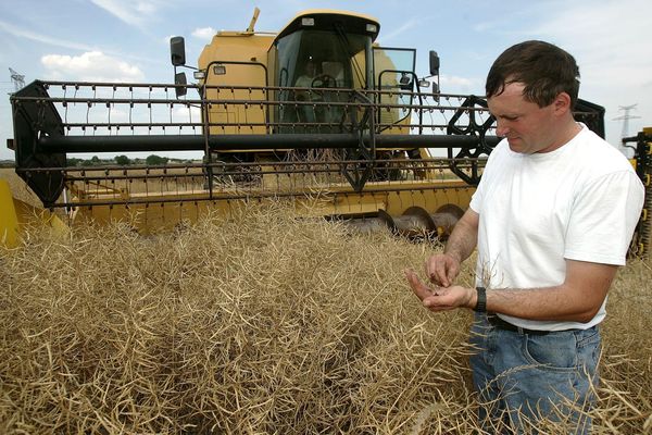 En 2005, le département des Deux-Sèvres est marqué par un épisode de fortes chaleurs et de sécheresse qui a affecté le milieu agricole (Archives).