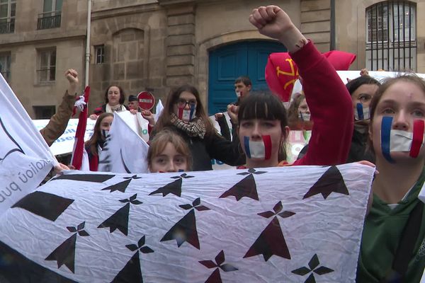 Liseidi eus Korsika, Euskadi, Breizh, Okitania hag Elzas o deus manifestet e Pariz, o c'henou mouget gant ur banniel triliv.