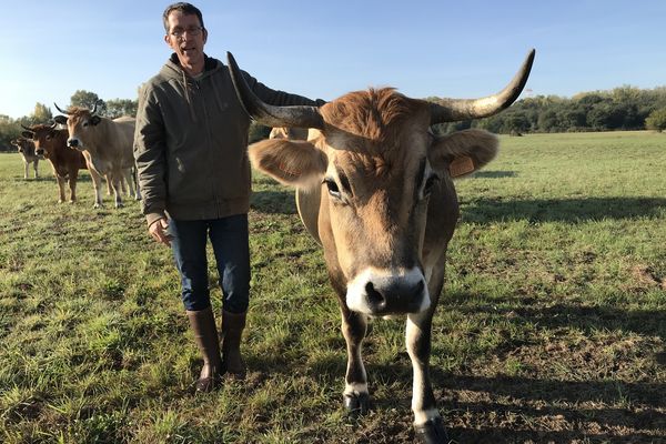 Benoît Rolland  avec Griotte, l'une de ses vaches qui paissent sur des terres confiées par Nantes Métropole.