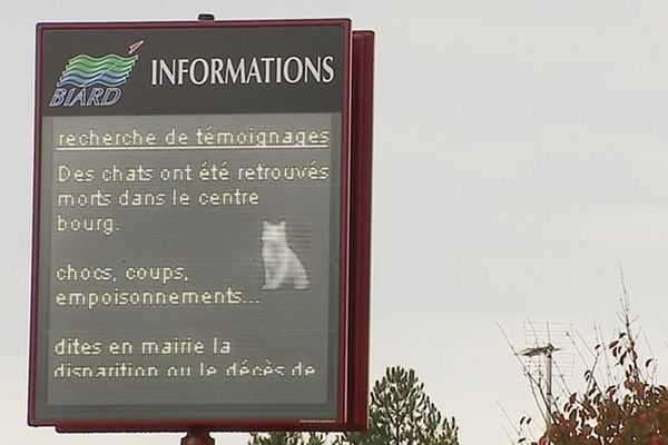 La mairie de Biard a lancé un appel à témoins après la mort ou la disparition de plusieurs chats à Biard, près de Poitiers.